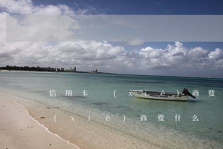 信用卡協(xié)商要什么條件(信用卡協(xié)商要什么條件)