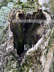 信用卡協(xié)商要求見面