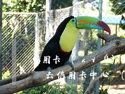 信用卡協(xié)商要簽協(xié)議嗎 去信用卡中心協(xié)商會不會被扣