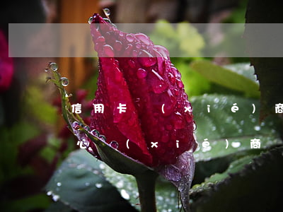 信用卡協(xié)商解決方案(去信用卡中心協(xié)商)