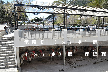 信用卡協(xié)商辦理流程圖(信用卡協(xié)商辦理流程圖)