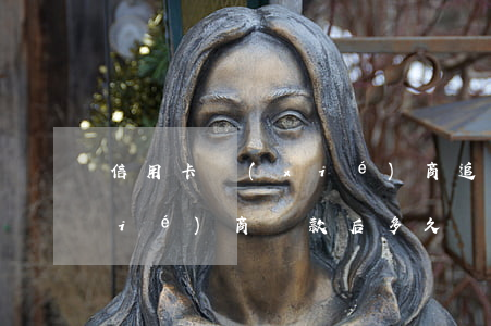 信用卡協(xié)商追息(和信用卡協(xié)商還款后多久會有結(jié)果?)