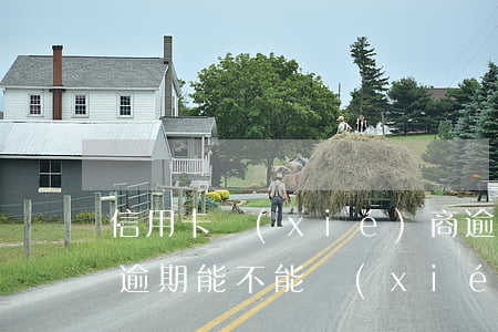 信用卡協(xié)商逾期取消分期(信用卡逾期能不能協(xié)商分期)