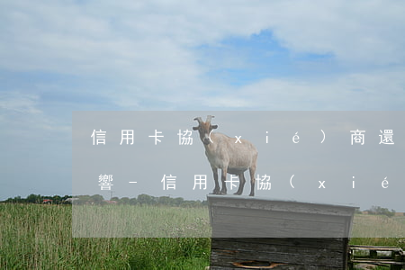 信用卡協(xié)商還款上征信有什么影響-信用卡協(xié)商還款上征信有什么影響嗎
