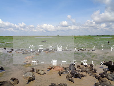 信用卡協(xié)商還款以后多久可以使用-信用卡協(xié)商還款以后多久可以使用啊
