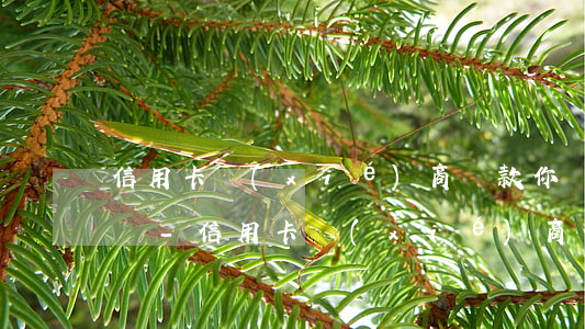 信用卡協(xié)商還款你為什么談不下來-信用卡協(xié)商還款你為什么談不下來錢