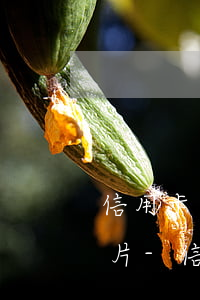 信用卡協(xié)商還款個人情況樣本圖片-信用卡協(xié)商還款個人情況樣本圖片怎么寫