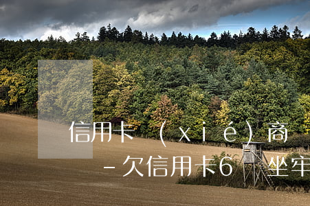 信用卡協(xié)商還款后又逾期了怎么辦-欠信用卡6萬坐牢親身經(jīng)歷