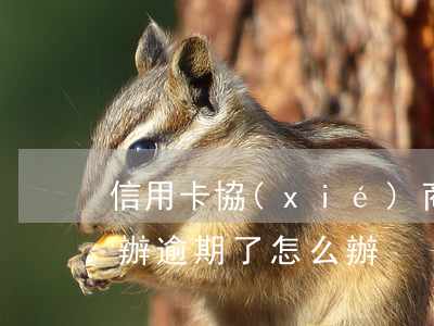 信用卡協(xié)商還款后又逾期了怎么辦（逾期了怎么辦）