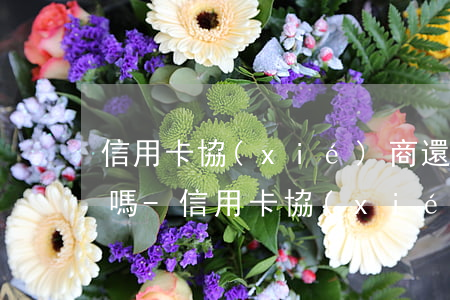 信用卡協(xié)商還款后晚2天還可以嗎-信用卡協(xié)商還款后晚2天還可以嗎