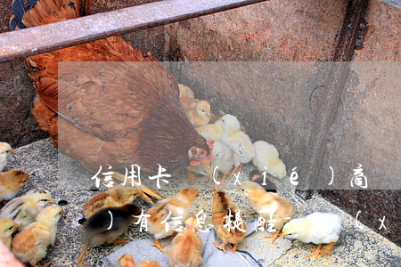 信用卡協(xié)商還款后有沒(méi)有信息提醒-協(xié)商還款后信用卡會(huì)終身停用嗎