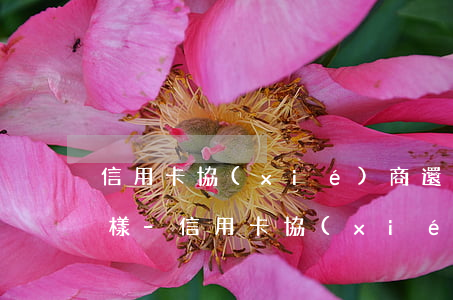 信用卡協(xié)商還款后逾期一天會怎樣-信用卡協(xié)商還款后逾期一天會怎樣呢