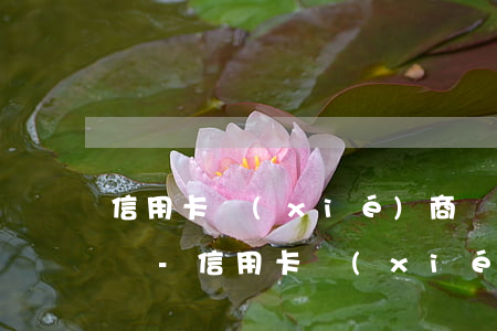 信用卡協(xié)商還款后還有賬單怎么辦-信用卡協(xié)商還款后還有賬單怎么辦呢