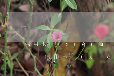 信用卡協(xié)商還款后還能取出來錢嗎-信用卡協(xié)商還款后還能取出來錢嗎安全嗎