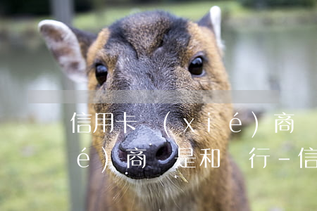 信用卡協(xié)商還款和催收協(xié)商還是和銀行-信用卡協(xié)商還款和催收協(xié)商還是和銀行協(xié)商