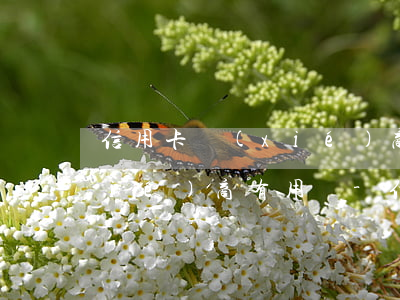 信用卡協(xié)商還款和第3方協(xié)商有用嗎-信用卡協(xié)商還款和第3方協(xié)商有用嗎怎么辦