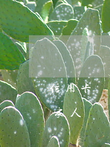 信用卡協(xié)商還款影響征信會影響家人嗎-信用卡協(xié)商還款影響征信會影響家人嗎知乎