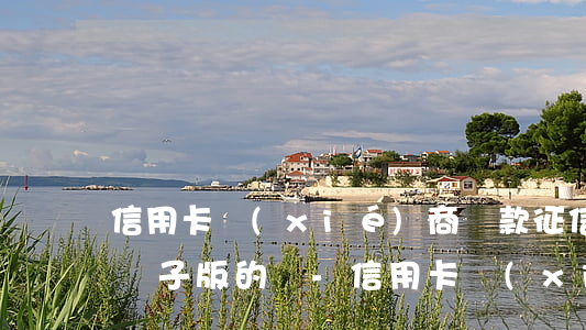 信用卡協(xié)商還款征信證明可以用電子版的嗎-信用卡協(xié)商還款征信證明可以用電子版的嗎