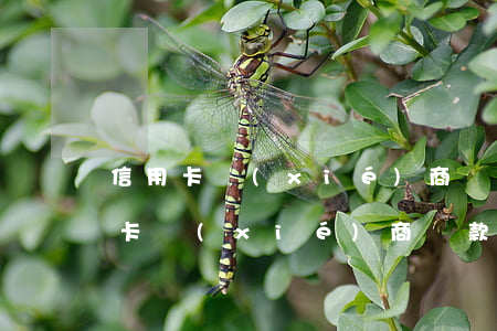 信用卡協(xié)商還款必須首付嗎(信用卡協(xié)商還款必須首付嗎)