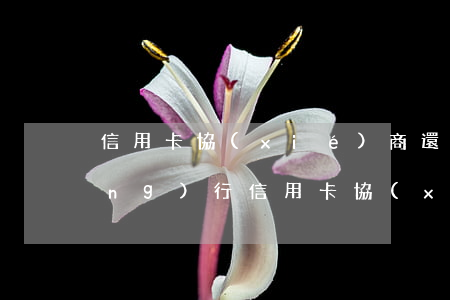 信用卡協(xié)商還款怎么談(農(nóng)行信用卡協(xié)商還款怎么談)