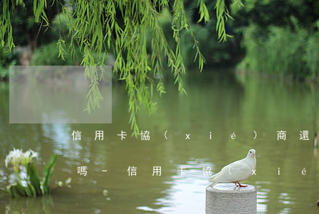 信用卡協(xié)商還款成功賬單有變化嗎-信用卡協(xié)商還款成功賬單有變化嗎怎么辦
