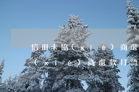 信用卡協(xié)商還款打流水(信用卡協(xié)商還款打流水要多久)