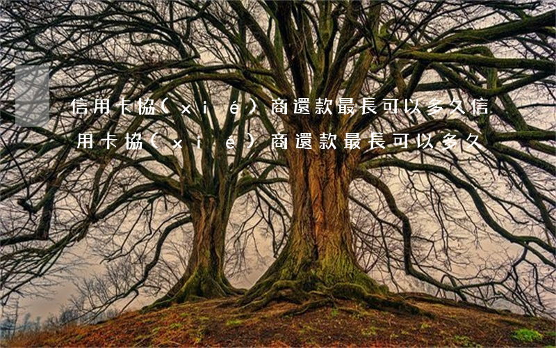 信用卡協(xié)商還款最長可以多久(信用卡協(xié)商還款最長可以多久)