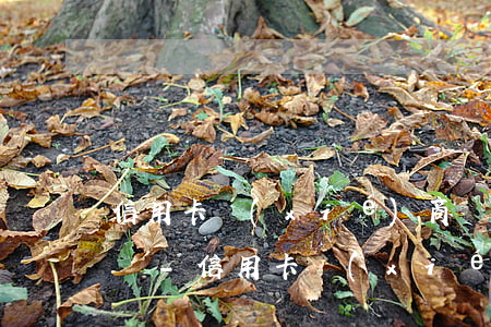 信用卡協(xié)商還款會對以后有影響嗎-信用卡協(xié)商還款會對以后有影響嗎知乎