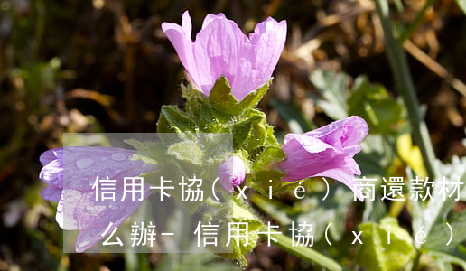信用卡協(xié)商還款材料準備不齊怎么辦-信用卡協(xié)商還款材料準備不齊怎么辦呢