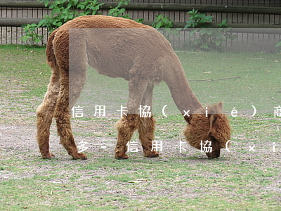 信用卡協(xié)商還款比本金多了一萬多-信用卡協(xié)商還款比本金多了一萬多怎么辦