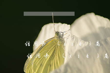 信用卡協(xié)商還款沒能力怎么辦 和信用卡協(xié)商還款后多久會有結(jié)果?