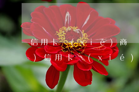 信用卡協(xié)商還款法律依據(jù)(信用卡協(xié)商還款法律依據(jù))