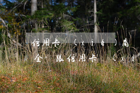 信用卡協(xié)商還款直接還到哪里安全-跟信用卡協(xié)商還款