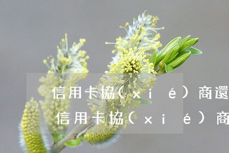 信用卡協(xié)商還款能分期多久(銀行信用卡協(xié)商分期還款技巧)