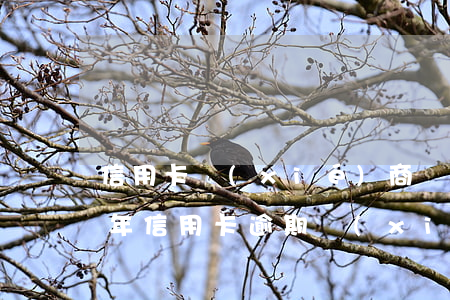 信用卡協(xié)商還款能行嗎(2021年信用卡逾期協(xié)商還款)