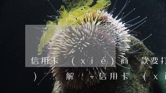 信用卡協(xié)商還款要打幾個(gè)電話解決-信用卡協(xié)商還款要打幾個(gè)電話解決呢