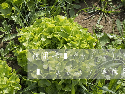 信用卡協(xié)商還款逾期利息能減免嗎-2021年信用卡逾期協(xié)商還款