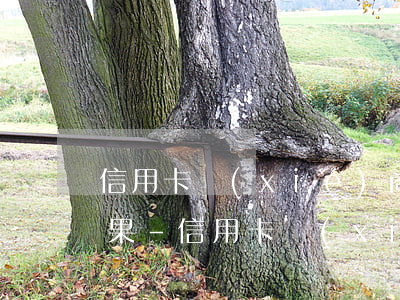 信用卡協(xié)商還款還不上有什么后果-信用卡協(xié)商還款還不上有什么后果嗎