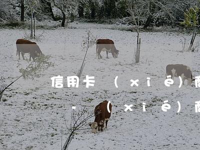 信用卡協(xié)商還款還完了還可以用嗎-協(xié)商還款后信用卡還能用嗎