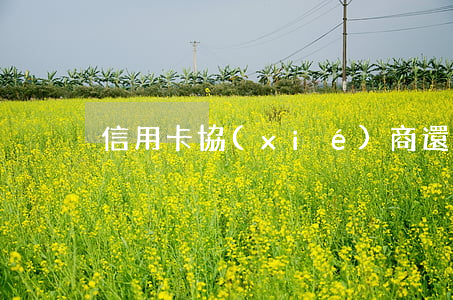 信用卡協(xié)商還款鄭州