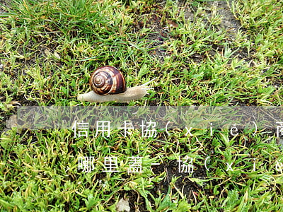 信用卡協(xié)商還款開貧困證明需要哪里蓋-協(xié)商還款要開的貧困證明