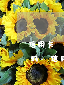 信用卡協(xié)商還款需要準備什么材料-信用卡協(xié)商還款需要準備什么材料和手續(xù)