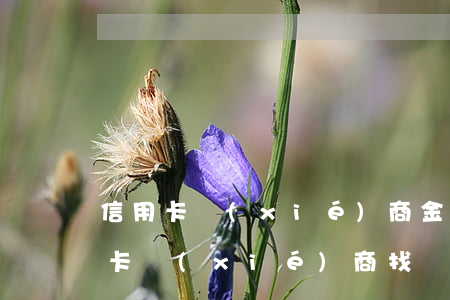 信用卡協(xié)商金額還不出-欠信用卡協(xié)商找誰(shuí)