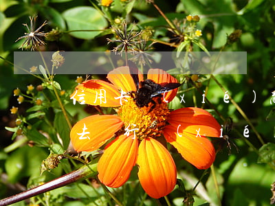 信用卡協(xié)商銀行說沒有(欠信用卡去銀行協(xié)商如果協(xié)商不下來會扣人嗎)