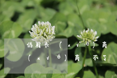 信用卡協(xié)商開不了證明(信用卡協(xié)商開不了證明)