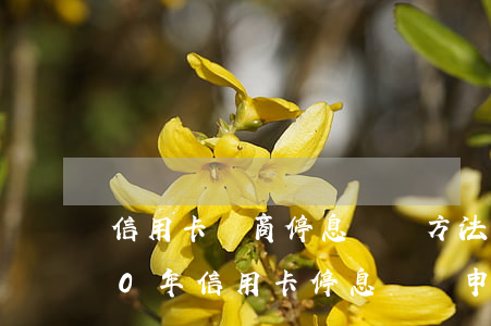 信用卡協商停息掛賬方法真的好嗎-2020年信用卡停息掛賬申請辦法