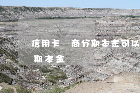 信用卡協商分期本金可以退嗎（信用卡協商分期本金）