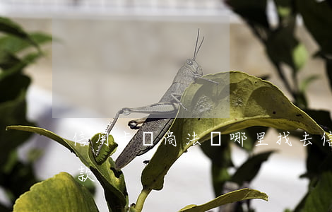 信用卡協商法務哪里找(去信用卡中心協商還款)
