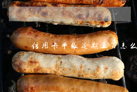 信用卡单张逾期五万怎么办