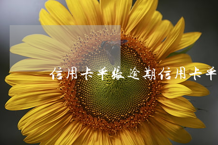 信用卡单张逾期(信用卡单张逾期怎么办)